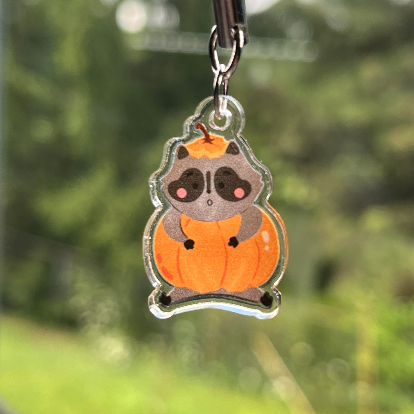 Pumpkin Roy the Raccoon Phone Charm