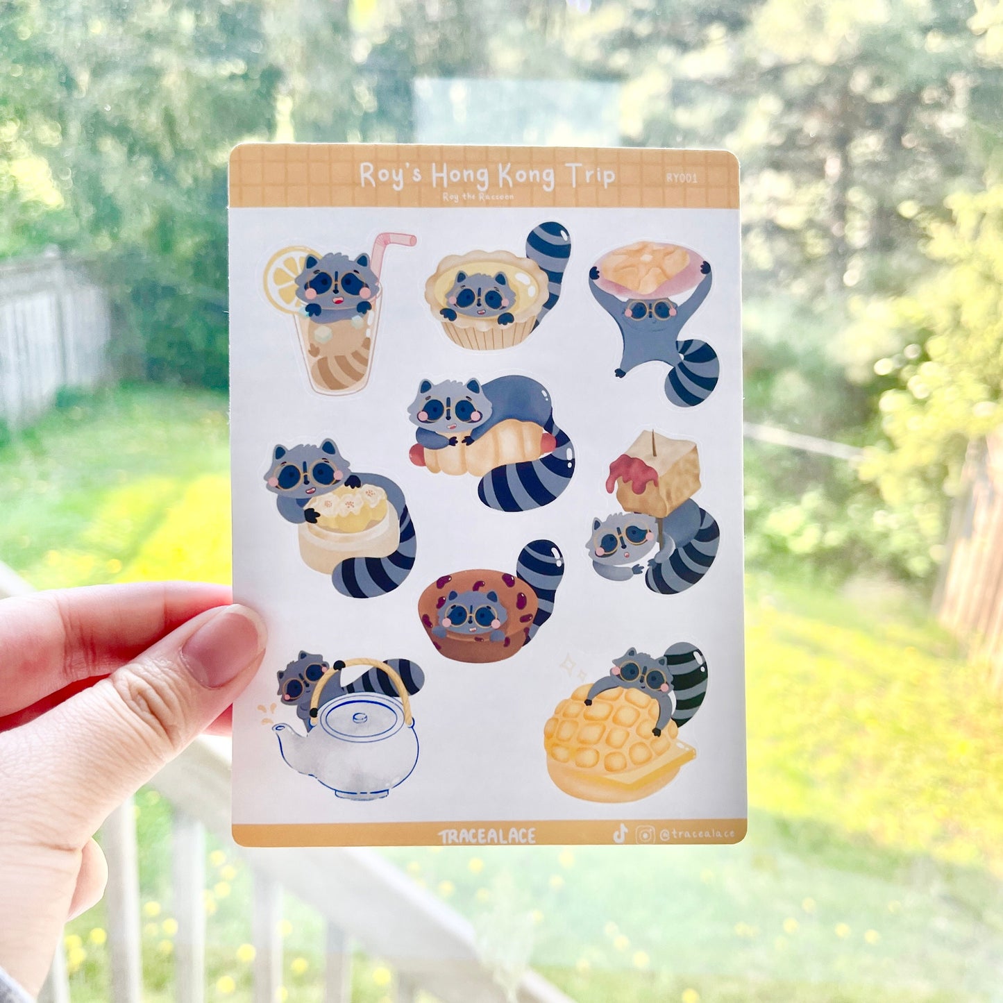 Roy the Racoon Hong Kong Trip Sticker Sheet